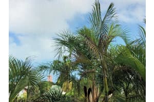 10 SE 13th St APT C3, Boca Raton, FL 33432, Sold 02/12/20