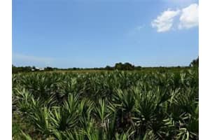 12311 SE Plandome Dr, Hobe Sound, FL 33455, Sold 07/23/20