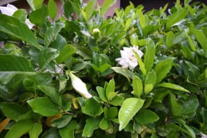 7011 Hawks Nest Terrace, Riviera Beach, FL 33407, Sold 09/18/20