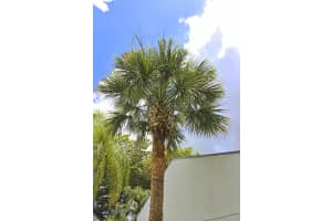 272 Sunshine Blvd, Royal Palm Beach, FL 33411, Sold 09/28/20