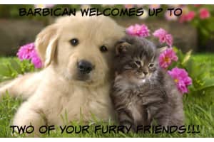 3601 S Ocean Blvd, South Palm Beach, FL 33480, Sold 10/13/20