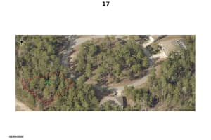 17 Lobelia Court, Homosassa, FL 34446 Sold 05/09/25