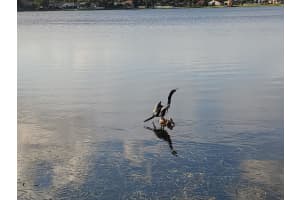 3560 Coco Lake Dr, Coconut Creek, FL 33073, Sold 11/25/20