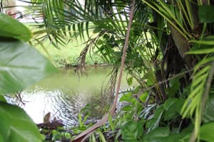 11896 Suellen Cir, Wellington, FL 33414, Sold 01/22/21