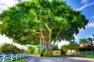 110 E Lee Rd, Delray Beach, FL 33445, Sold 08/12/21