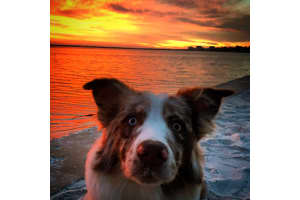 3 Water Club Way #502, North Palm Beach, FL 33408, Sold 07/28/21