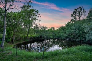 17998 48th Ct N, Loxahatchee, FL 33470, Sold 09/22/21