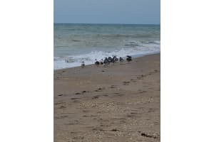 355 S Ocean Dr, Fort Pierce, FL 34949, Sold 10/29/21