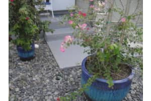 692 NE Wax Myrtle Way, Jensen Beach, FL 34957, Sold 03/29/22