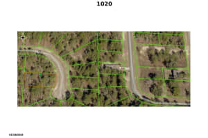 1020 Riley Drive, Citrus Springs, FL 34434 - MLS#R10767102