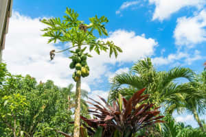 7643 Eagle Point Dr, Delray Beach, FL 33446, Sold 05/13/22