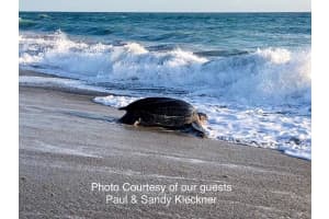 379 NE Tradewind Ln APT 1105, Stuart, FL 34996, Sold 08/30/22