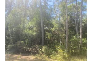 Tbd NE 155 Lane, Fort Mc Coy, FL 32134 - MLS#R10798705