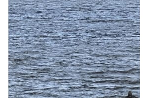 2840 S Ocean Blvd, Palm Beach, FL 33480, Sold 01/23/23