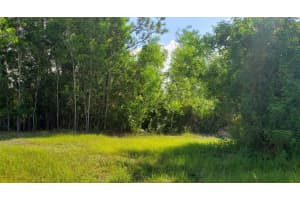 Xxx Bob Cat Lane, Loxahatchee, FL 33470 Sold 03/12/26