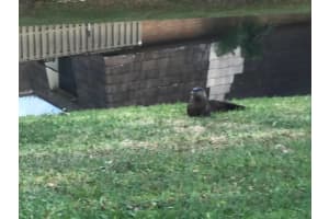 1026  Siena Oaks Circle  W, Palm Beach Gardens, FL 33410 Sold 03/20/23