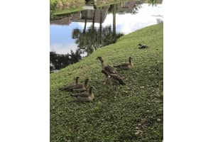 1026  Siena Oaks Circle  W, Palm Beach Gardens, FL 33410 Sold 03/20/23