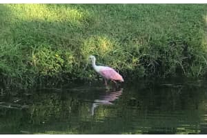 1026  Siena Oaks Circle  W, Palm Beach Gardens, FL 33410 Sold 03/20/23