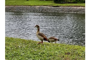 2905 SW 22nd Circle   40b, Delray Beach, FL 33445 Sold 03/31/23