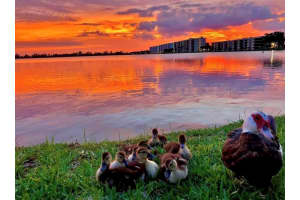114  Lake Emerald Drive   307 Oakland Park, FL 33309 Sold 03/31/23