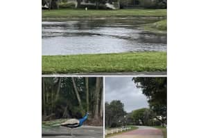 7684 Kings Ride, Boynton Beach, FL 33436, Sold 04/20/23