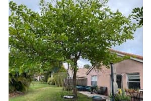 10251 Breezeway Pl, Boca Raton, FL 33428, Sold 10/10/23