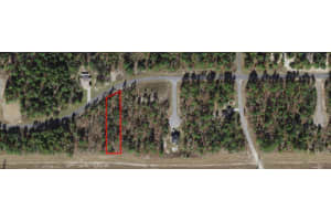 2168 W Riley Drive, Citrus Springs, FL 34434 Sold 04/23/25