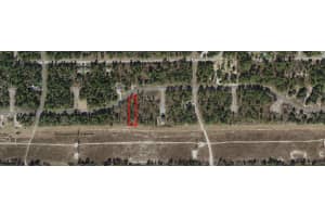 2168 W Riley Drive, Citrus Springs, FL 34434 Sold 04/23/25