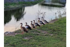 9523 Lake Serena Dr, Boca Raton, FL 33496, Sold 05/18/23