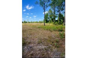 1108306 Oil Well Road, Clermont, FL 34714 - MLS#R10874730