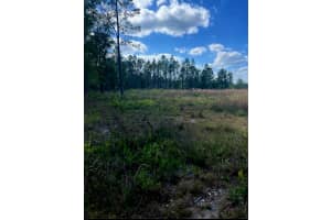1108306 Oil Well Road, Clermont, FL 34714 - MLS#R10874730