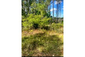 1108306 Oil Well Road, Clermont, FL 34714 - MLS#R10874730