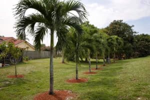 5327  Helene Circle, Boynton Beach, FL 33472 Sold 06/09/23