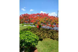 1100 E Indiantown Road 114, Jupiter, Fl 33477 Jupiter, FL 33477 Sold 05/25/23