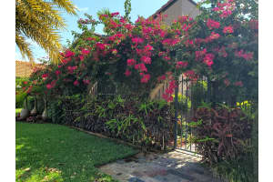 2412 SW 23rd Cranbrook Drive, Boynton Beach, FL 33436 Sold 08/18/23