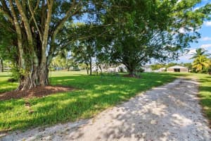 785  Cindy Drive Drive, Wellington, FL 33414 Sold 12/13/23