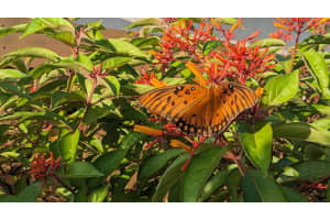 11645 Ficus Street D, Palm Beach Gardens, FL 33410 Sold 11/02/23