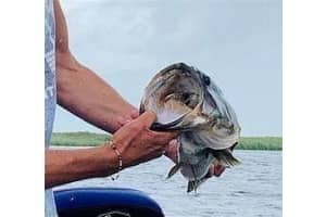 18325 NW 278th Street, Okeechobee, FL 34972 - MLS#R10911703