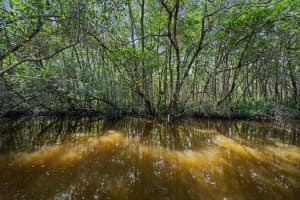 1208 Mohican Boulevard, Jupiter, FL 33458 Sold 10/27/23