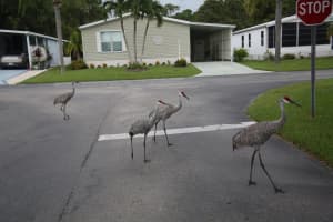 320 Tropical Isles Circle 6, Fort Pierce, FL 34982 Sold 01/09/24