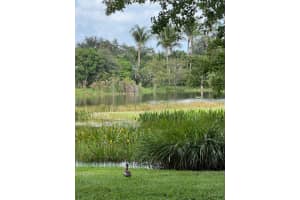 5303 SE Joshua Tree Terrace, Hobe Sound, FL 33455 Sold 02/29/24