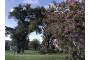 3129 Oakland Shores Drive A107, Oakland Park, FL 33309 Sold 10/24/23