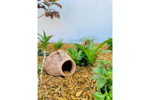 11848 Balsam Drive, Royal Palm Beach, FL 33411 Sold 12/22/23