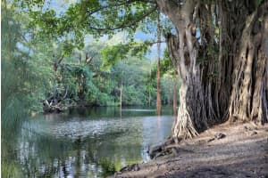 1025 SE 15th Street 9a, Fort Lauderdale, FL 33316 Sold 01/12/24