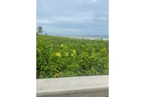 50 Celestial Way 305, Juno Beach, FL 33408 Sold 01/12/24