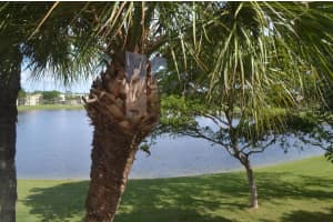 5280 Las Verdes Circle 307, Delray Beach, FL 33484 Sold 12/27/23