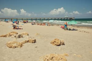 13021 NW 5th Court, Pembroke Pines, FL 33028 Sold 02/26/24