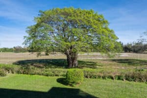 5500 NW 2nd Avenue 324, Boca Raton, FL 33487 Sold 08/09/24