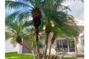 7284 Morocca Lake Drive, Delray Beach, FL 33446 Sold 06/14/24