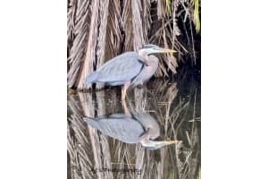 3760 Moss Pointe Circle, Lake Worth, FL 33467 Sold 03/26/24